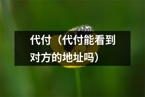 代付（代付能看到对方的地址吗）