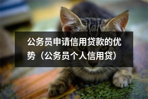公务员申请信用贷款的优势（公务员个人信用贷）