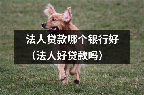 法人贷款哪个银行好（法人好贷款吗）