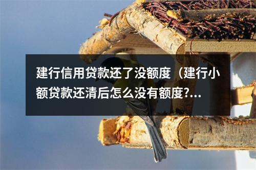 建行信用贷款还了没额度(建行小额贷款还清后怎么没有额度?)
