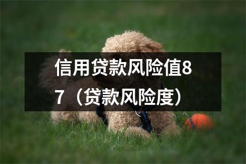 信用贷款风险值87（贷款风险度）