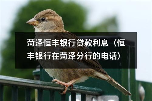 菏泽恒丰银行贷款利息（恒丰银行在菏泽分行的电话）