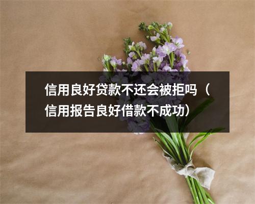 信用良好贷款不还会被拒吗（信用报告良好借款不成功）