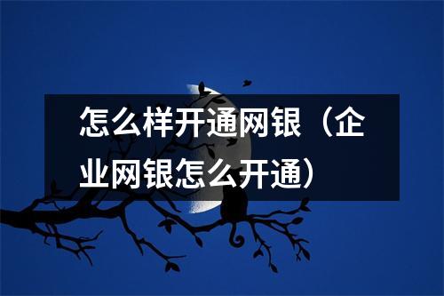 怎么样开通网银（企业网银怎么开通）