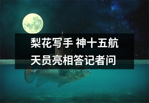 梨花写手 神十五航天员亮相答记者问