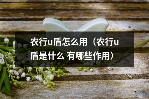 农行u盾怎么用(农行u盾是什么 有哪些作用)