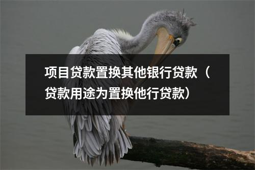 项目贷款置换其他银行贷款（贷款用途为置换他行贷款）