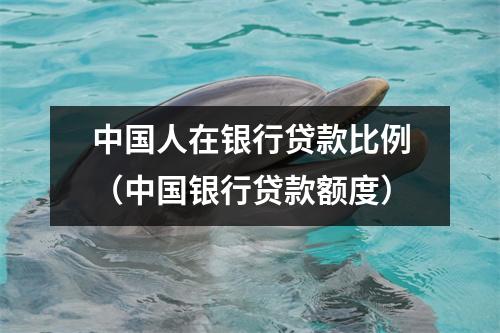 中国人在银行贷款比例（中国银行贷款额度）