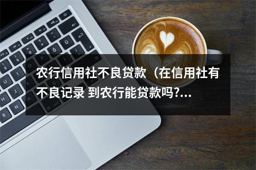 农行信用社不良贷款（在信用社有不良记录 到农行能贷款吗?）