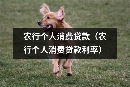 农行个人消费贷款（农行个人消费贷款利率）