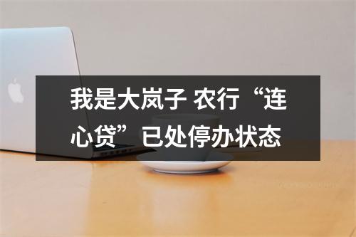 我是大岚子 农行“连心贷”已处停办状态