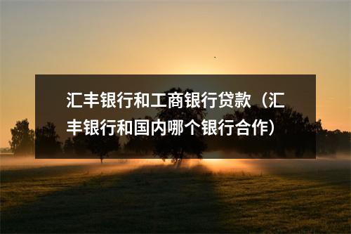 汇丰银行和工商银行贷款（汇丰银行和国内哪个银行合作）