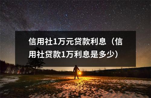 信用社1万元贷款利息（信用社贷款1万利息是多少）
