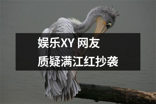 娱乐XY 网友质疑满江红抄袭