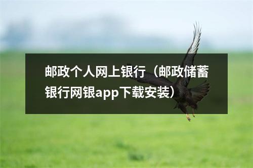 邮政个人网上银行（邮政储蓄银行网银app下载安装）