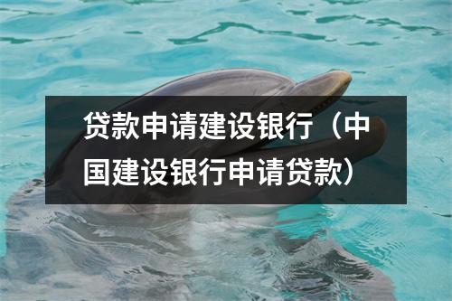 贷款申请建设银行（中国建设银行申请贷款）