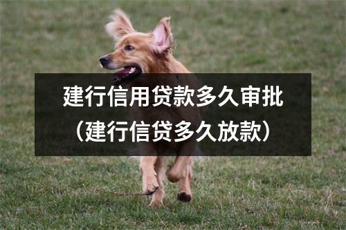 建行信用贷款多久审批（建行信贷多久放款）