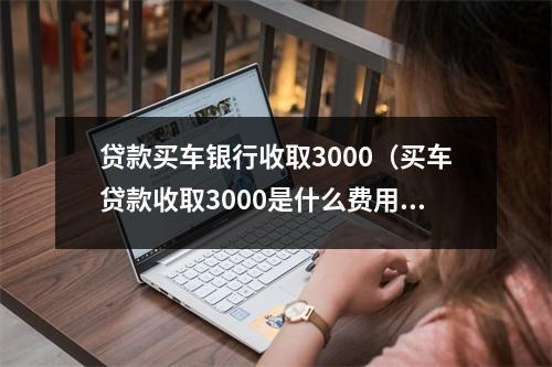 贷款买车银行收取3000（买车贷款收取3000是什么费用）