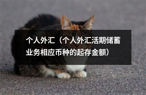 个人外汇（个人外汇活期储蓄业务相应币种的起存金额）