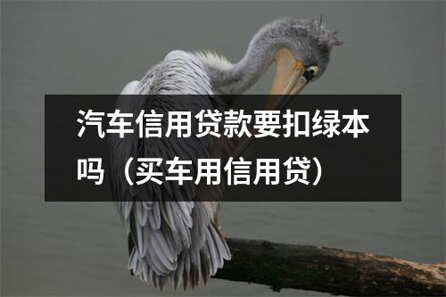 汽车信用贷款要扣绿本吗（买车用信用贷）