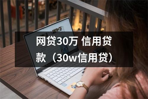 网贷30万 信用贷款（30w信用贷）