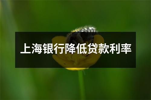 上海银行降低贷款利率