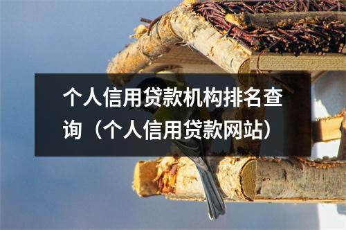个人信用贷款机构排名查询(个人信用贷款网站)