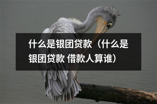 什么是银团贷款（什么是银团贷款 借款人算谁）