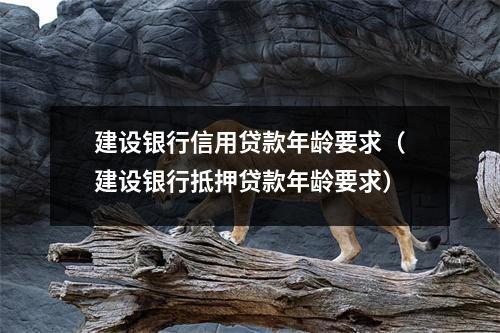 建设银行信用贷款年龄要求（建设银行抵押贷款年龄要求）