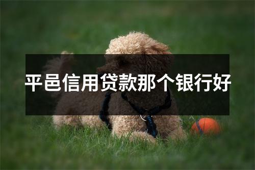 平邑信用贷款那个银行好
