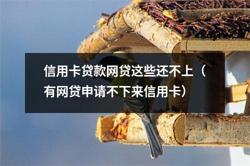 信用卡贷款网贷这些还不上（有网贷申请不下来信用卡）