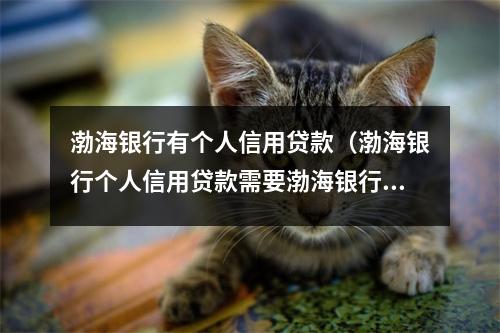 渤海银行有个人信用贷款（渤海银行个人信用贷款需要渤海银行卡吗）