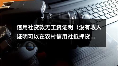 信用社贷款无工资证明（没有收入证明可以在农村信用社抵押贷款吗）