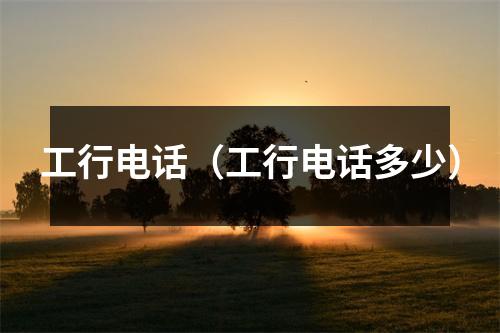 工行电话（工行电话多少）