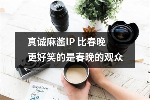 真诚麻酱lP 比春晚更好笑的是春晚的观众