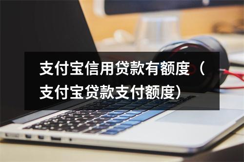 支付宝信用贷款有额度（支付宝贷款支付额度）
