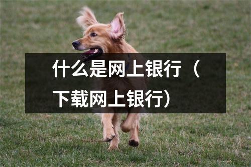 什么是网上银行（下载网上银行）