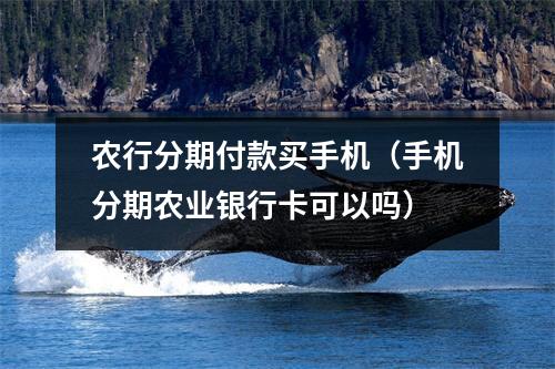 农行分期付款买手机（手机分期农业银行卡可以吗）