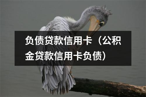 负债贷款信用卡（公积金贷款信用卡负债）