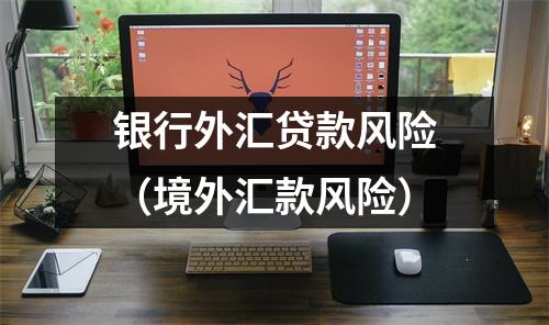 银行外汇贷款风险(境外汇款风险)