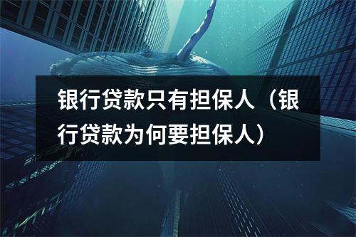 银行贷款只有担保人（银行贷款为何要担保人）