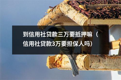 到信用社贷款三万要抵押嘛（信用社贷款3万要担保人吗）