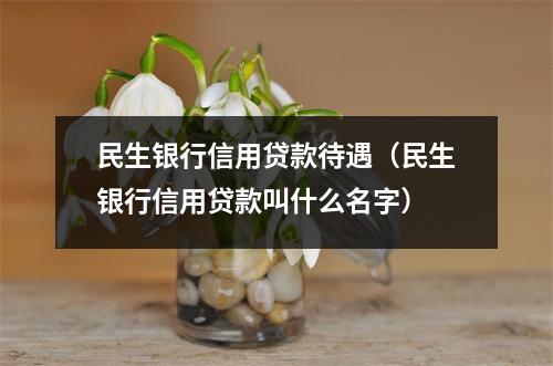 民生银行信用贷款待遇（民生银行信用贷款叫什么名字）