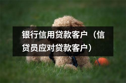 银行信用贷款客户（信贷员应对贷款客户）