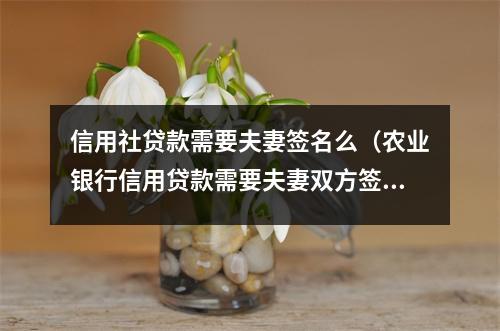 信用社贷款需要夫妻签名么（农业银行信用贷款需要夫妻双方签名吗?）