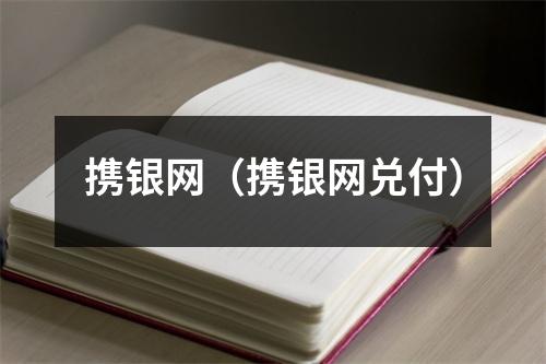携银网（携银网兑付）