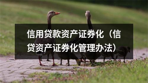 信用贷款资产证券化（信贷资产证券化管理办法）