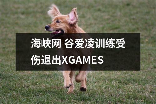 海峡网 谷爱凌训练受伤退出XGAMES