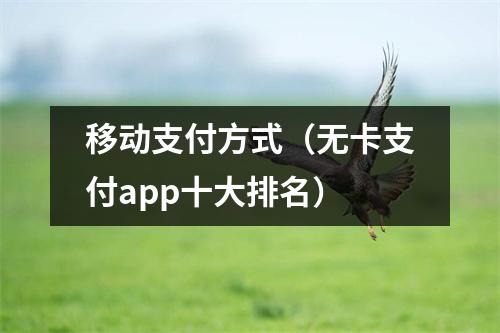 移动支付方式(无卡支付app十大排名)