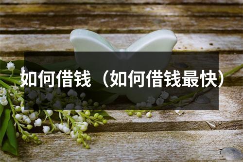 如何借钱（如何借钱最快）